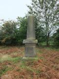 image of grave number 451715
